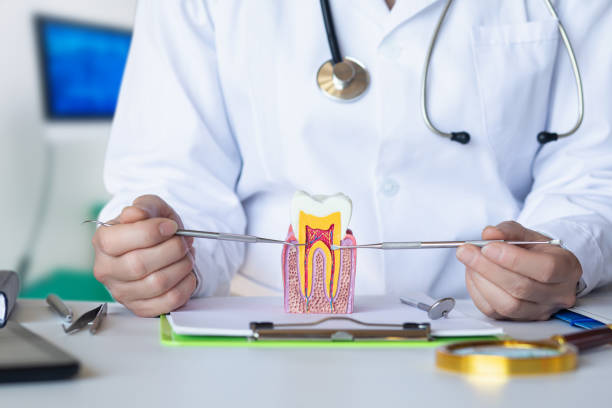 Best Emergency Dentist for Lost Fillings or Crowns in Zephyrhills North, FL